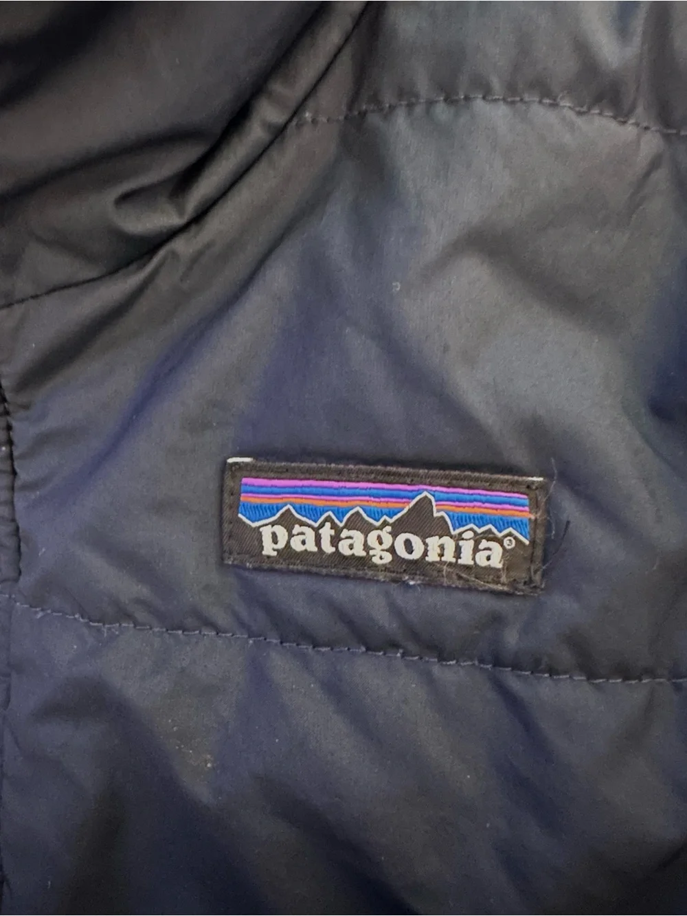Patagonia Kids Reversible Navy Blue Jacket with Sherpa Lining
